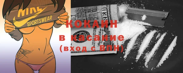 дживик Инта