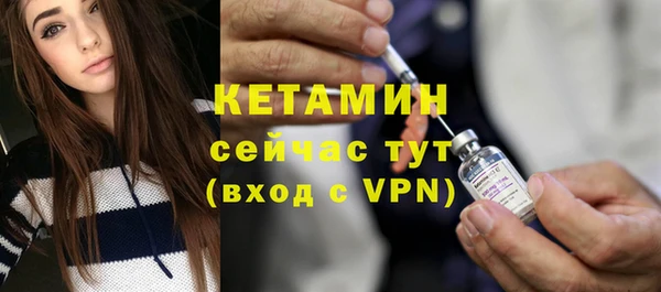 дживик Инта