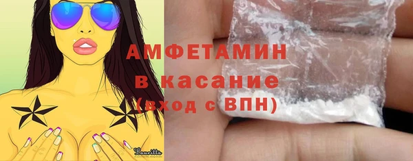 дживик Инта