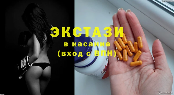 дживик Инта