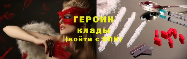 дживик Инта