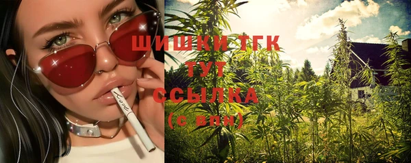 дживик Инта