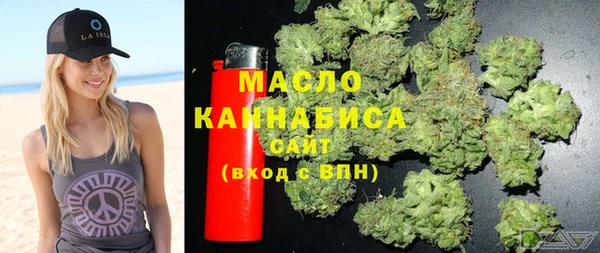 дживик Инта