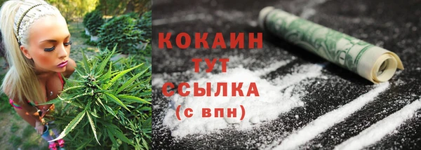 метадон Каменка