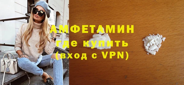 дживик Инта