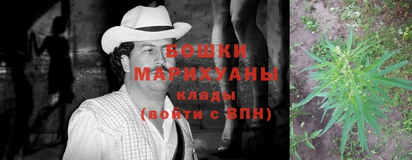 дживик Инта