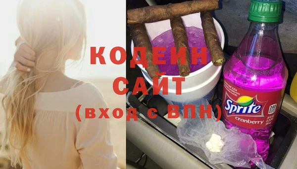 дживик Инта