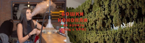 дживик Инта