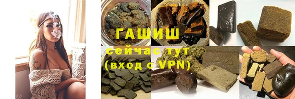 дживик Инта