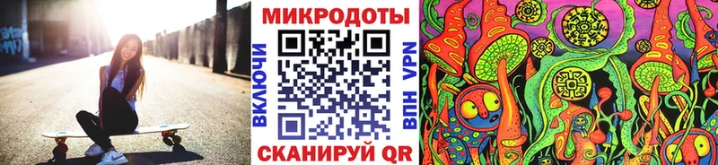 Псилоцибиновые грибы мицелий  Купить закладки  Заинск 